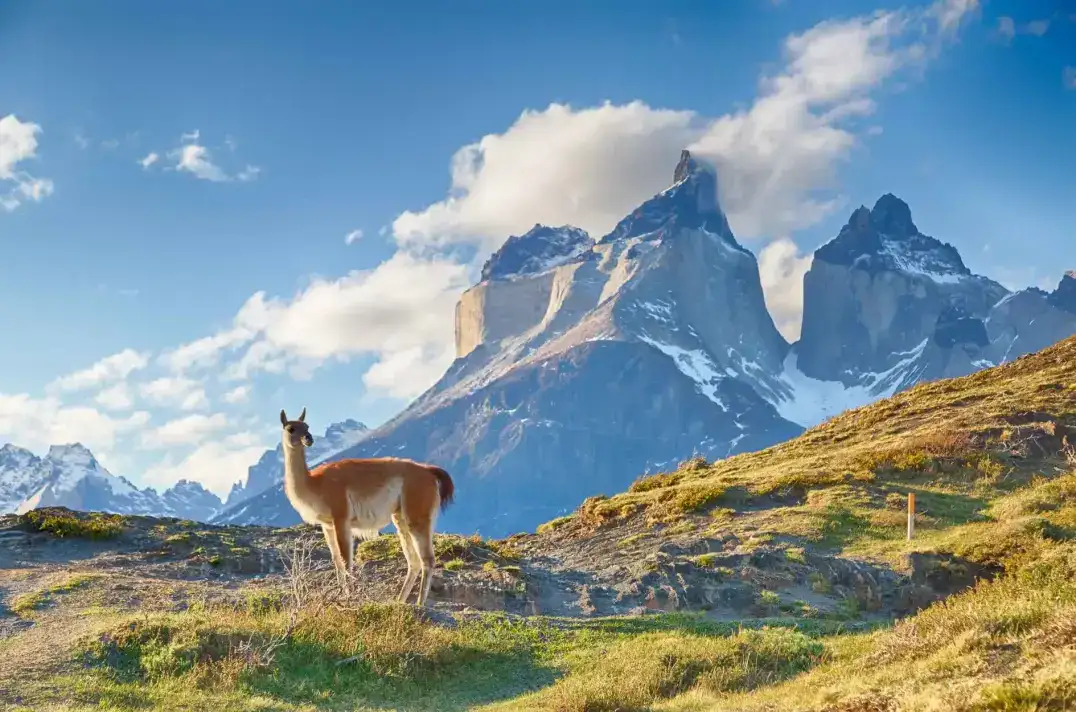Patagonia motorcycle riding experience across Argentina and Chile
